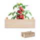 Mini-Huerto tomates en caja Tomato Ref.MDMO6498-MADERA 