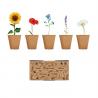 Kit de cultivo flores Flowers