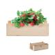 Kit de fresas en caja madera Strawberry Ref.MDMO6506-MADERA