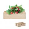 Kit de fresas en caja madera Strawberry