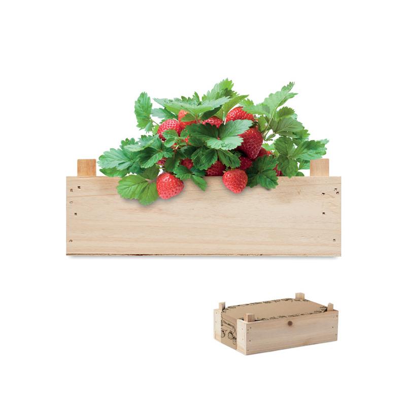 Set de 12 fresas en caja de madera.