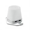 Portabolis con hub usb Fuji