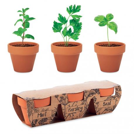 Juego de macetas terracota Flowerpot