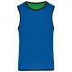 Peto de rugby reversible Ref.TTPA044-AZUL ROYAL/VERDE DEPORTIVO