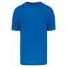 Camiseta triblend sports