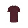 Camiseta triblend sports