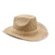Sombrero de vaquero paja Texas Ref.MDMO6755-BEIG 