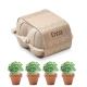 Kit de cultivo en huevera Cress Ref.MDMO6886-BEIG 