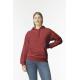 Sudadera con capucha midweight softstyle Ref.TTGISF500-MAROON