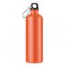 Botella aluminio 750ml Big Moss