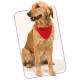 Bandanas para perros Roco Ref.3062-ROJO 