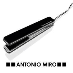 Plancha pelo Hazor