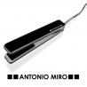 Plancha pelo Hazor