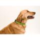 Collar Muttley Ref.3063-AZUL 