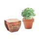 Maceta con semillas de berro Cress pot Ref.MDMO2219-MADERA 