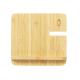 Cargador Hamsy Ref.21186- 