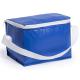 Nevera 6 latas Coolcan Ref.3072-AZUL 