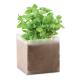 Bolsa de semillas albahaca Basil Ref.MDMO9545-BEIG 