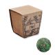 Kit cultivo semillas de menta Mint kit Ref.MDMO2410-BEIG 
