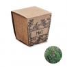 Kit cultivo semillas de menta Mint kit