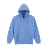 Sudadera heavy blend™ capucha