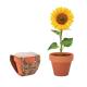 Juego de macetas terracota Sunflower Ref.MDMO6147-MADERA 