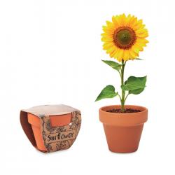 Juego de macetas terracota Sunflower