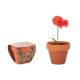 Juego de macetas terracota Red poppy Ref.MDMO6148-MADERA 