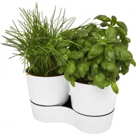 Maceta doble para cocina Herbs