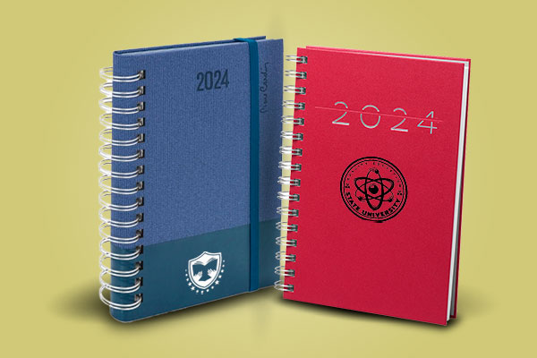 Agendas publicitarias