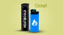 Mecheros Cricket