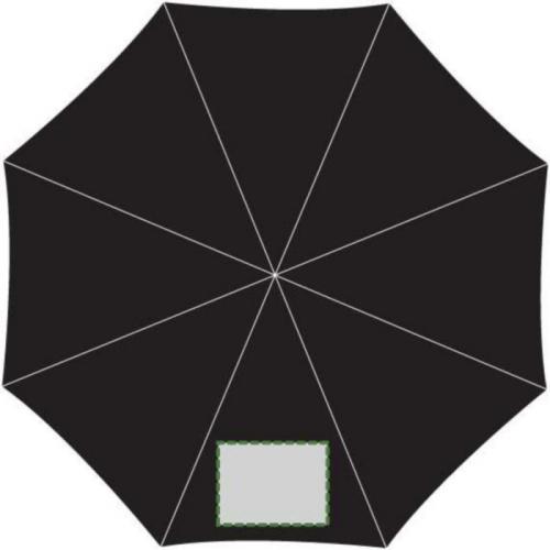 1er panel